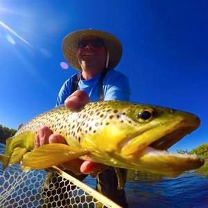 Meet your Posher, Frank